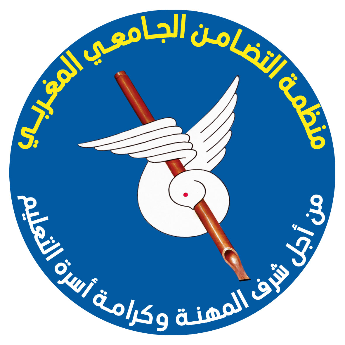 التضامن الجامعي تنتقد زلزال اعفاءات وزارة التربية الوطنية ل16 مدير اقليمي