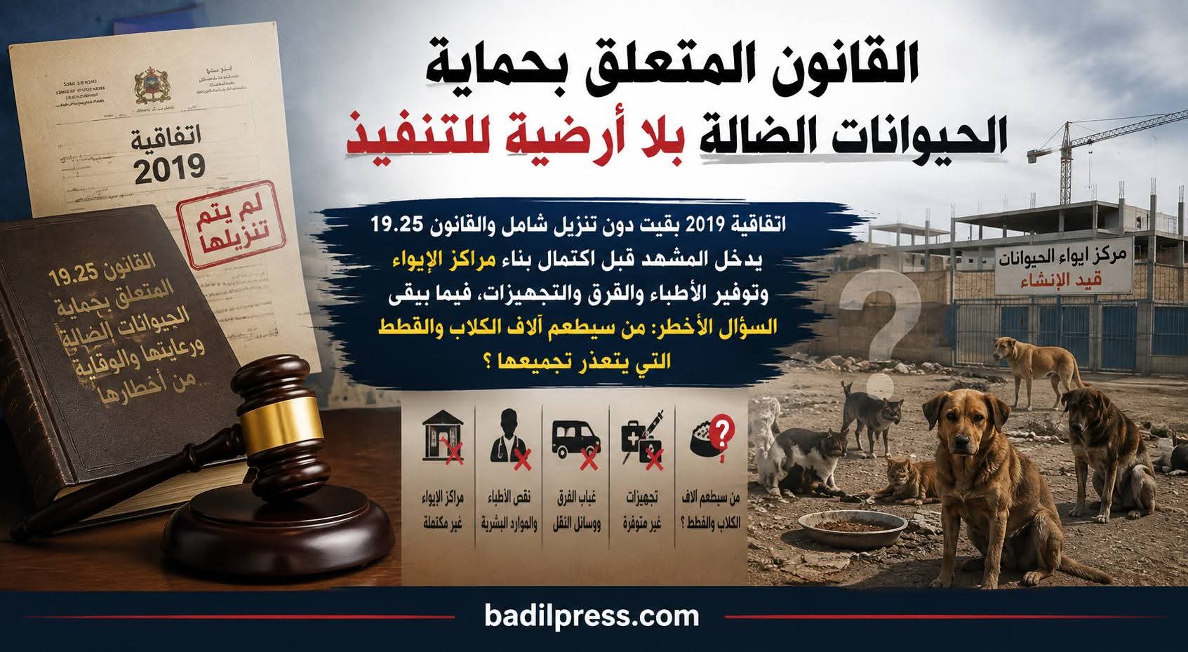 القانون المتعلق بحماية الحيوانات الضالة بلا أرضية للتنفيذ